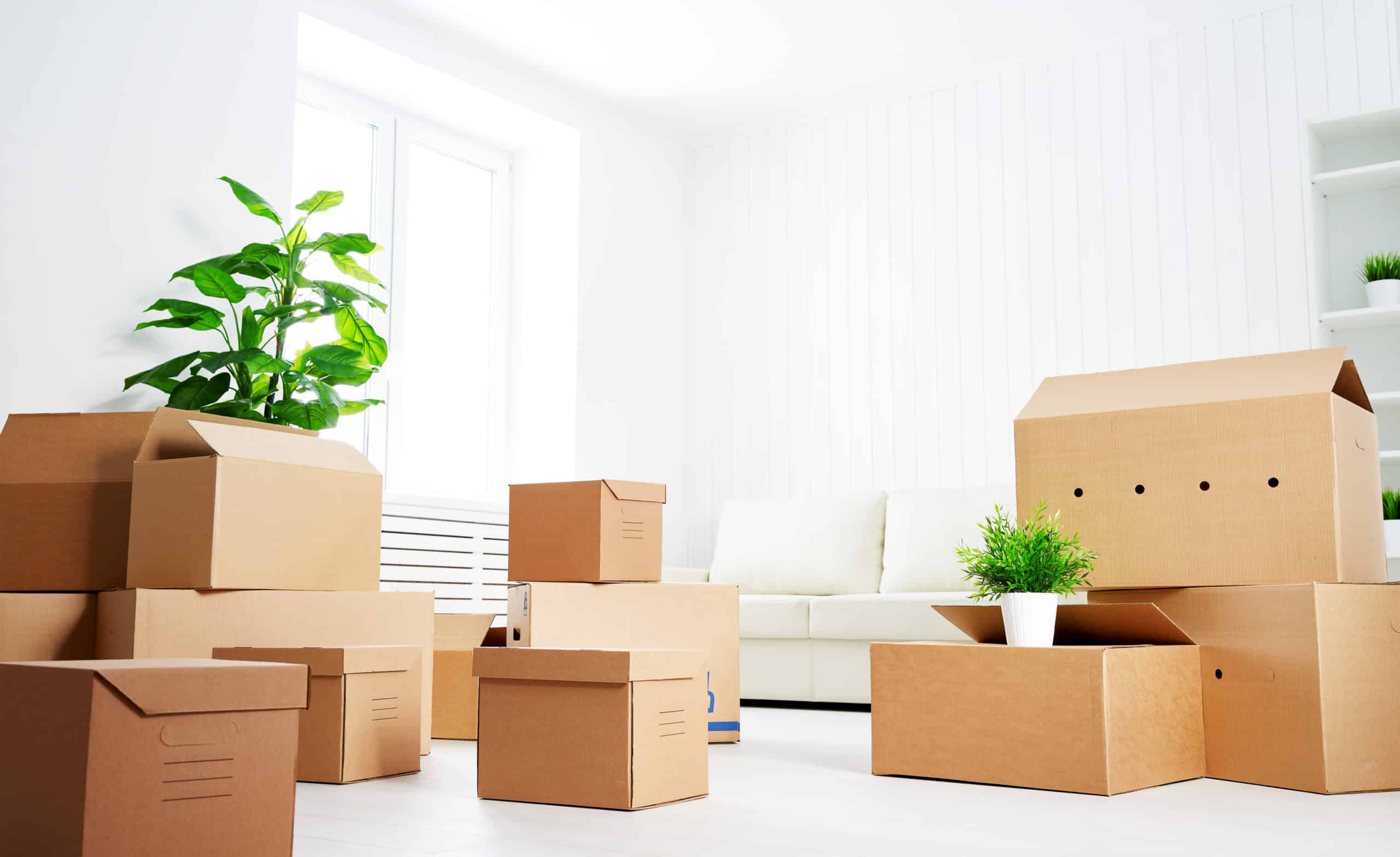 Your Complete Moving Day Checklist